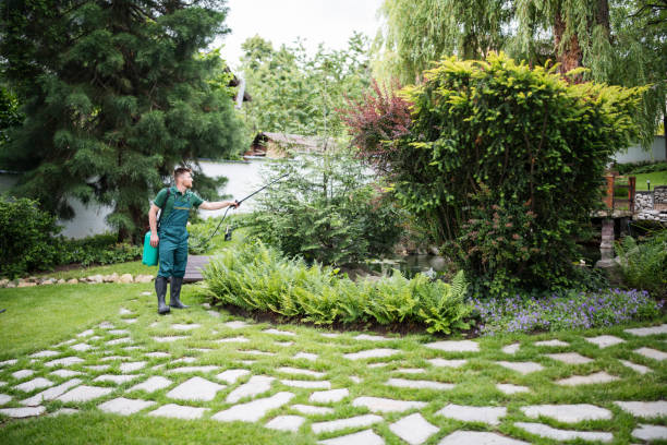 Reliable Mason, OH Pest Control Solutions