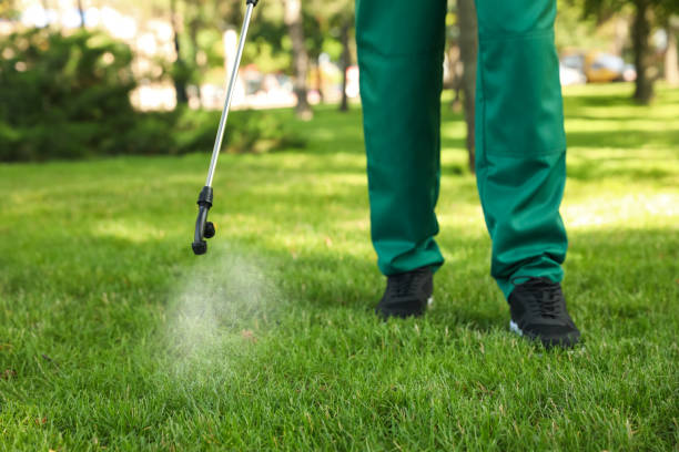 Best Cockroach Control Services  in Mason, OH