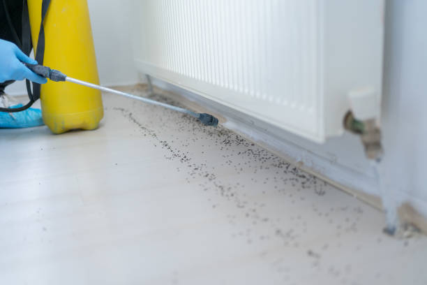 Best Affordable Pest Control Services  in Mason, OH